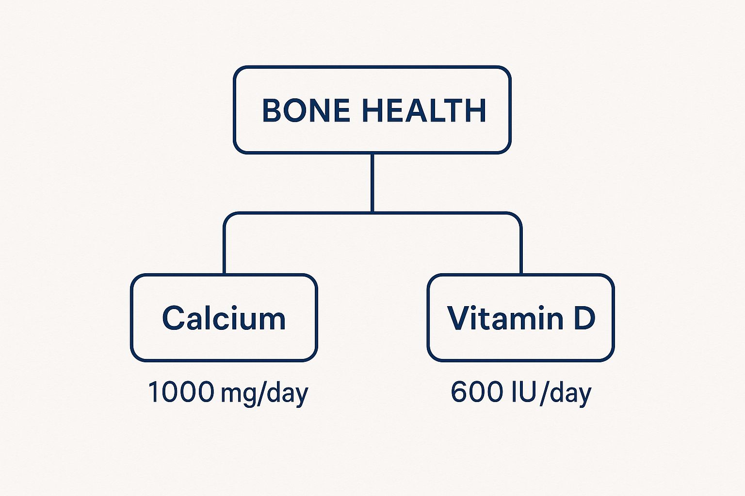 Infographic about supplement for bones and joints