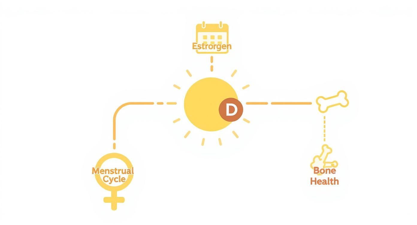Infographic about vitamins for female hormone balance