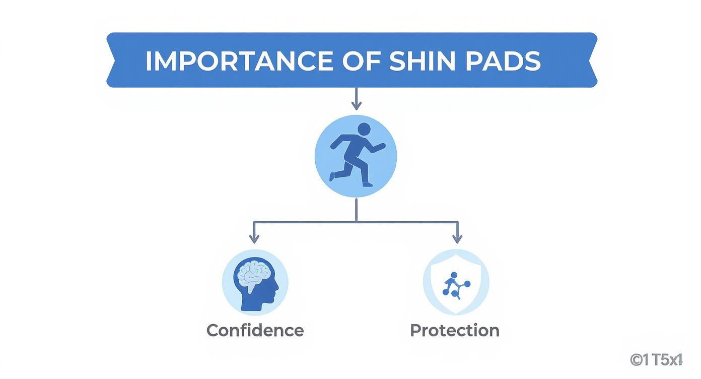 Infographic about best shin pads for football