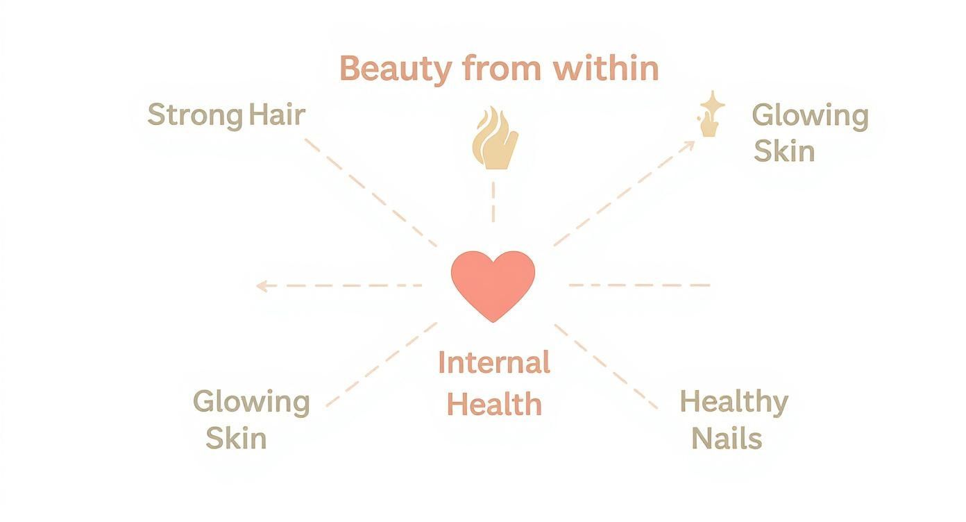 Infographic showing beauty from within concept with heart symbol connecting to strong hair, glowing skin, and healthy nails