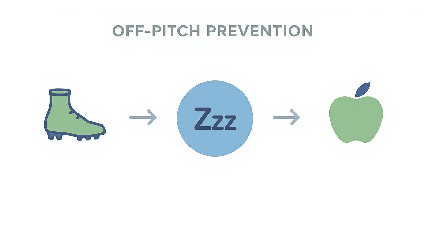 Infographic about how to prevent acl injuries