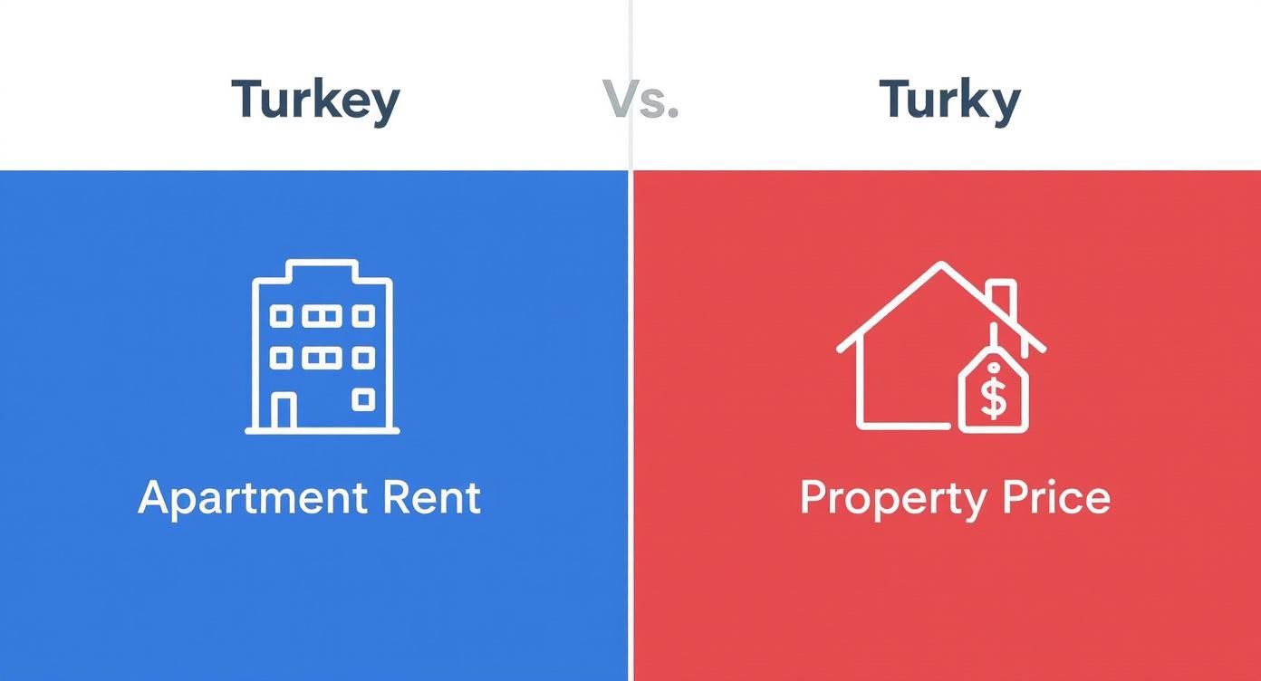 Comparison of apartment rent and property prices in Turkey, featuring building and house icons.