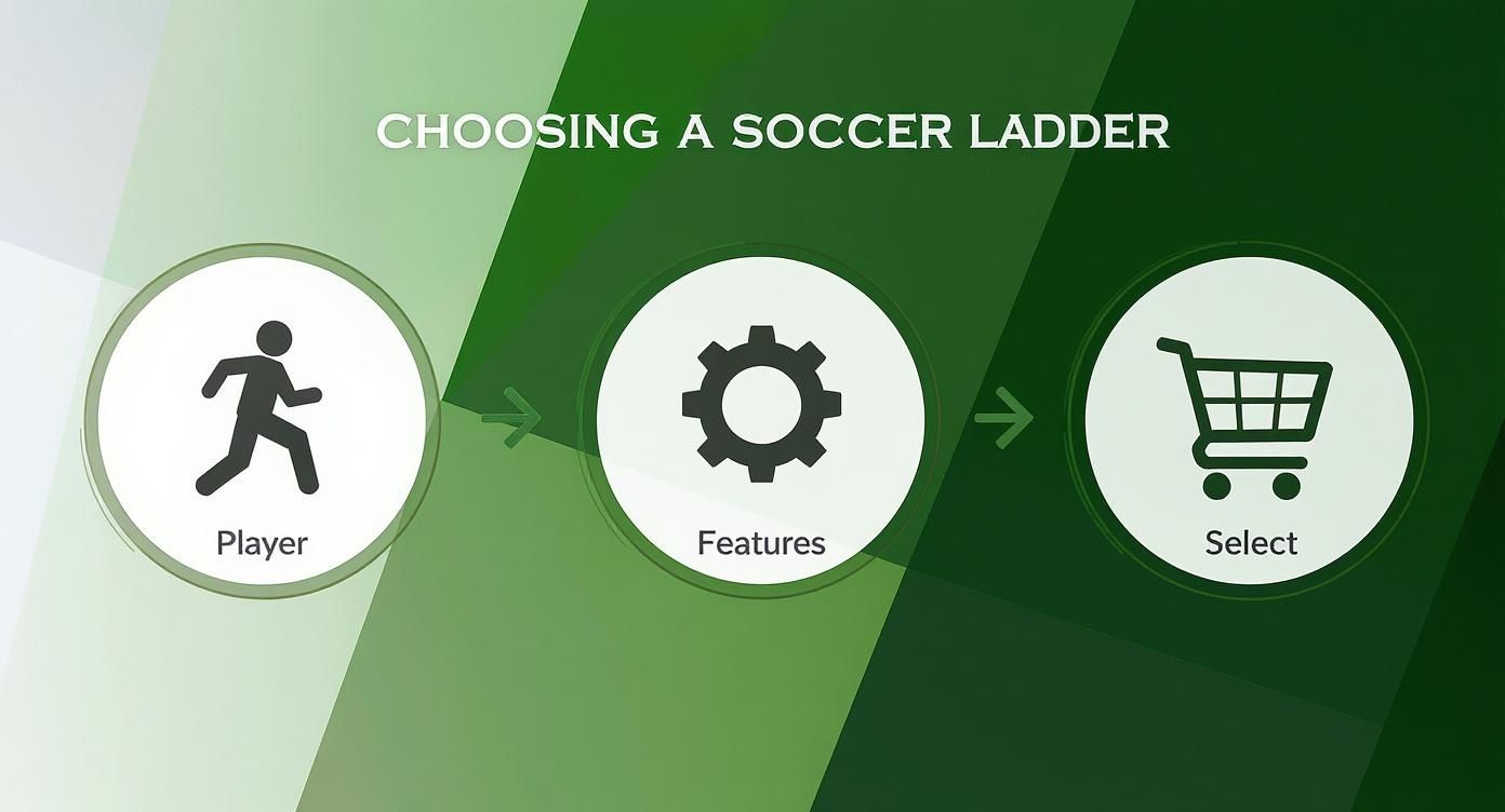 Infographic about ladder for soccer