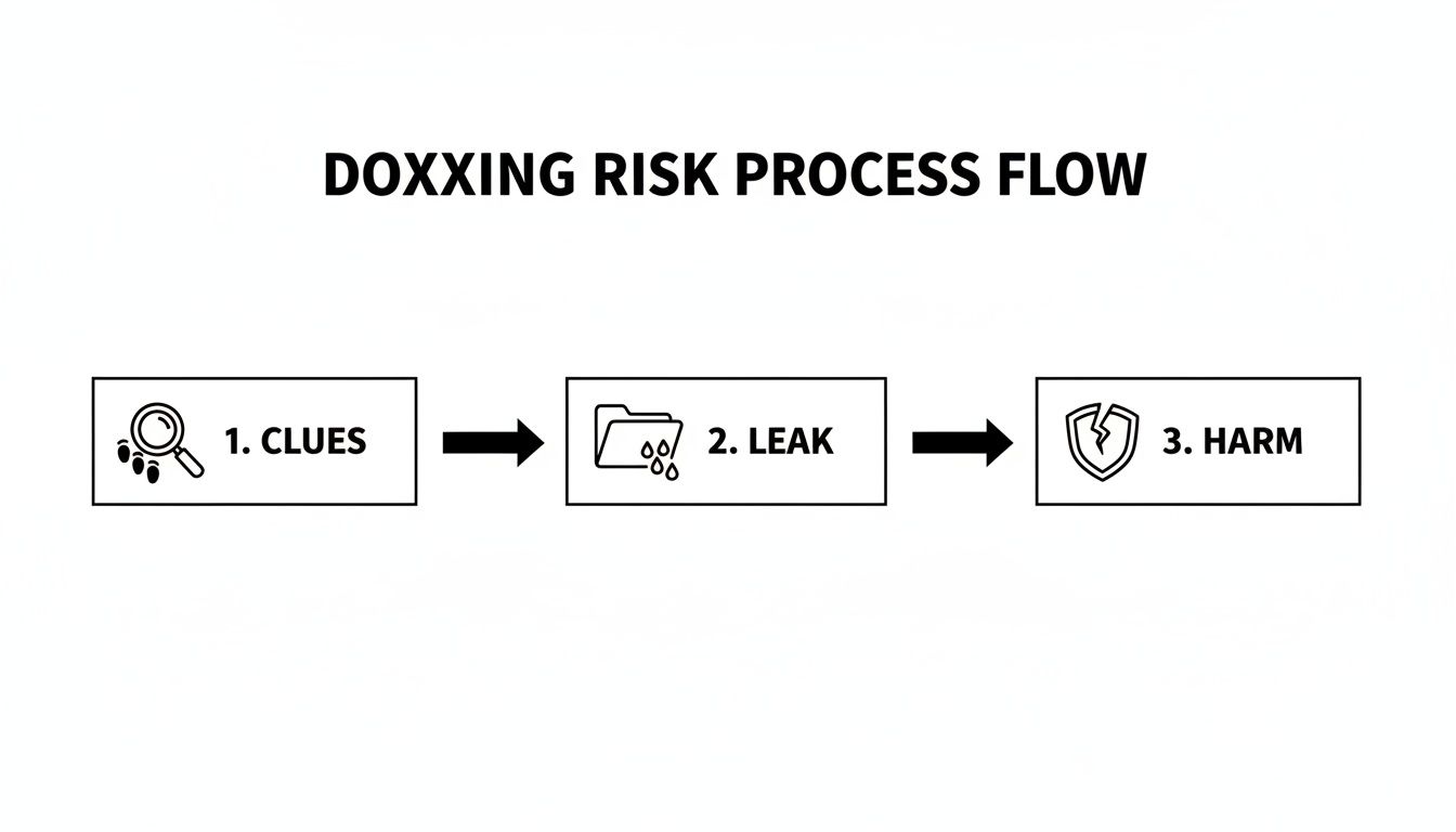 Flowchart illustrating the doxxing risk process: clues, data leak, and resulting harm.