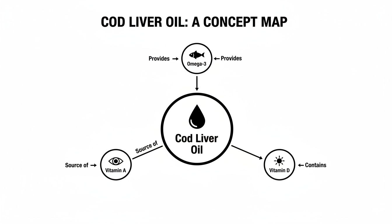 A concept map showing cod liver oil provides omega-3, is a source of vitamin A, and contains vitamin D.