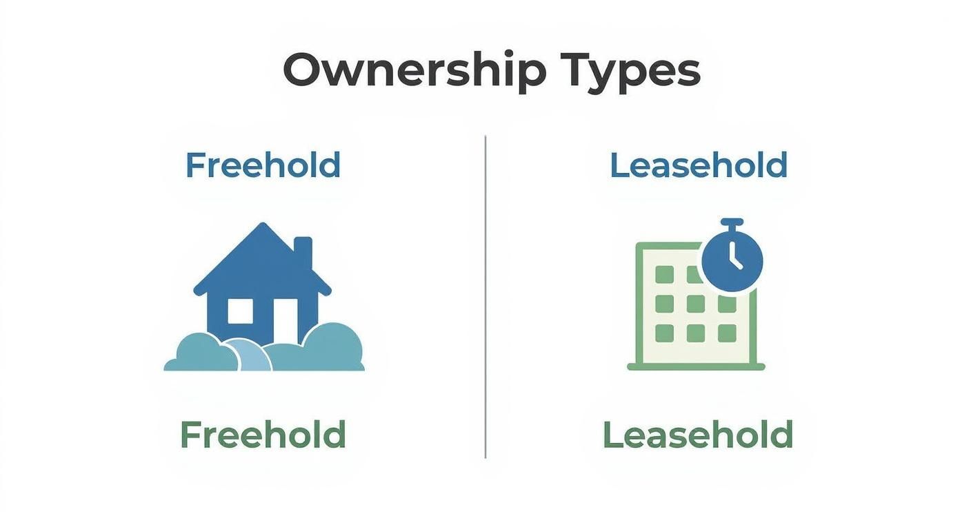 Comparison diagram showing freehold property with house icon versus leasehold property with building and timer icon