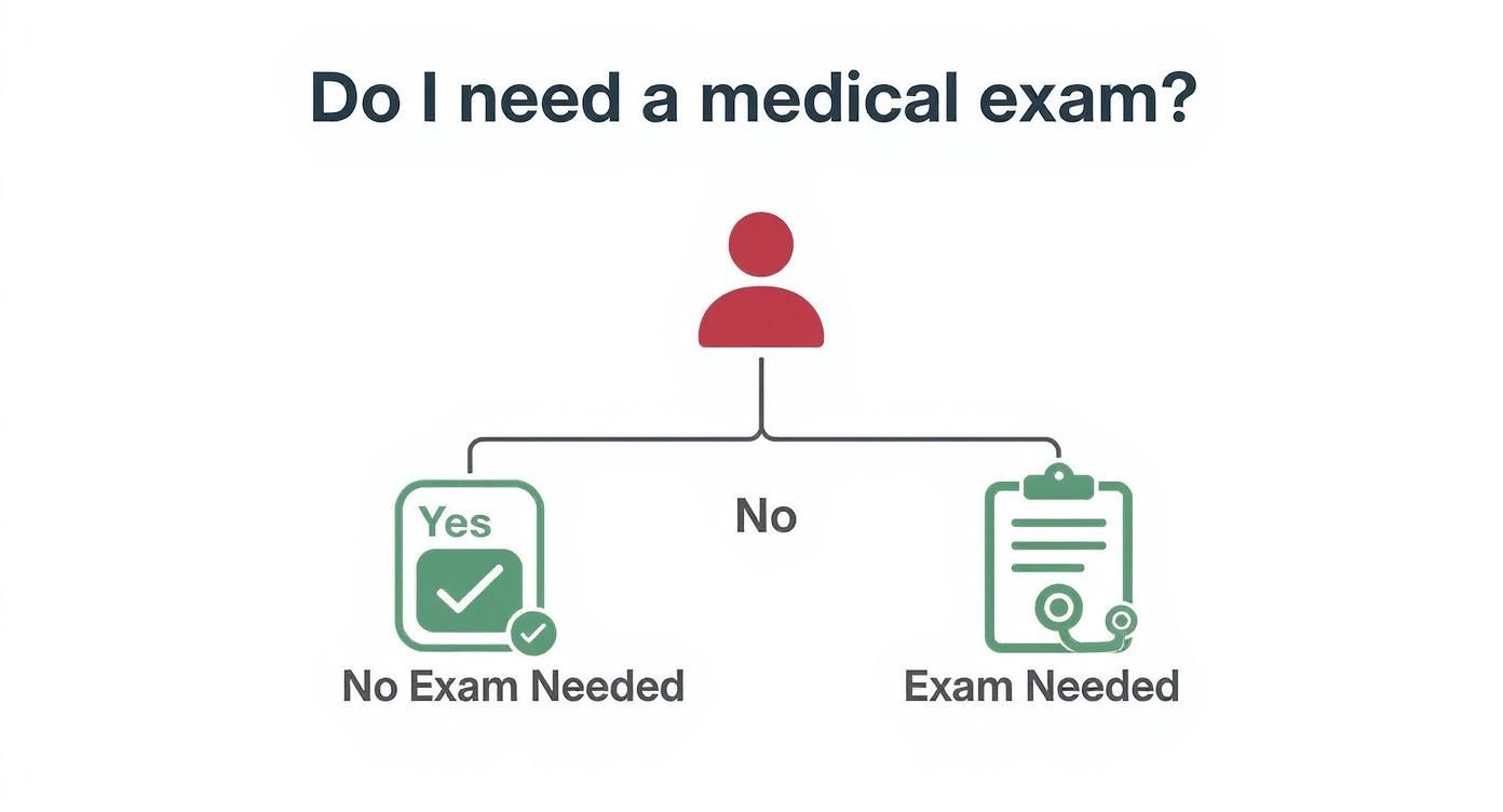 Infographic about no medical exam life insurance