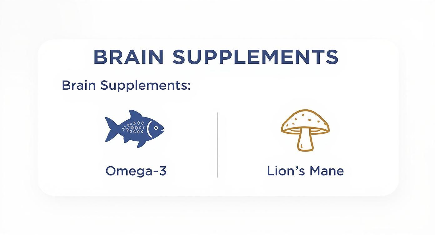 Infographic about best supplements for longevity