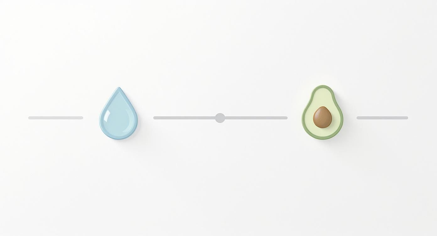 A light blue water drop and a halved avocado on a minimalist horizontal slider against a white background.
