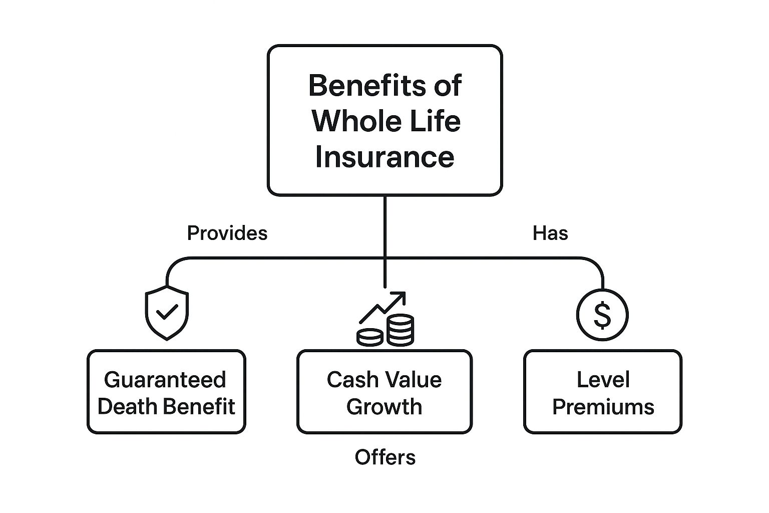 Infographic about whole life insurance