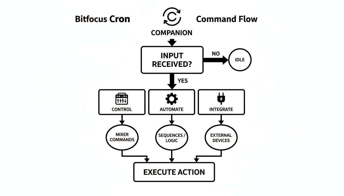 Flowchart illustrating Bitfocus Cron command flow, from Companion input to action execution pathways.