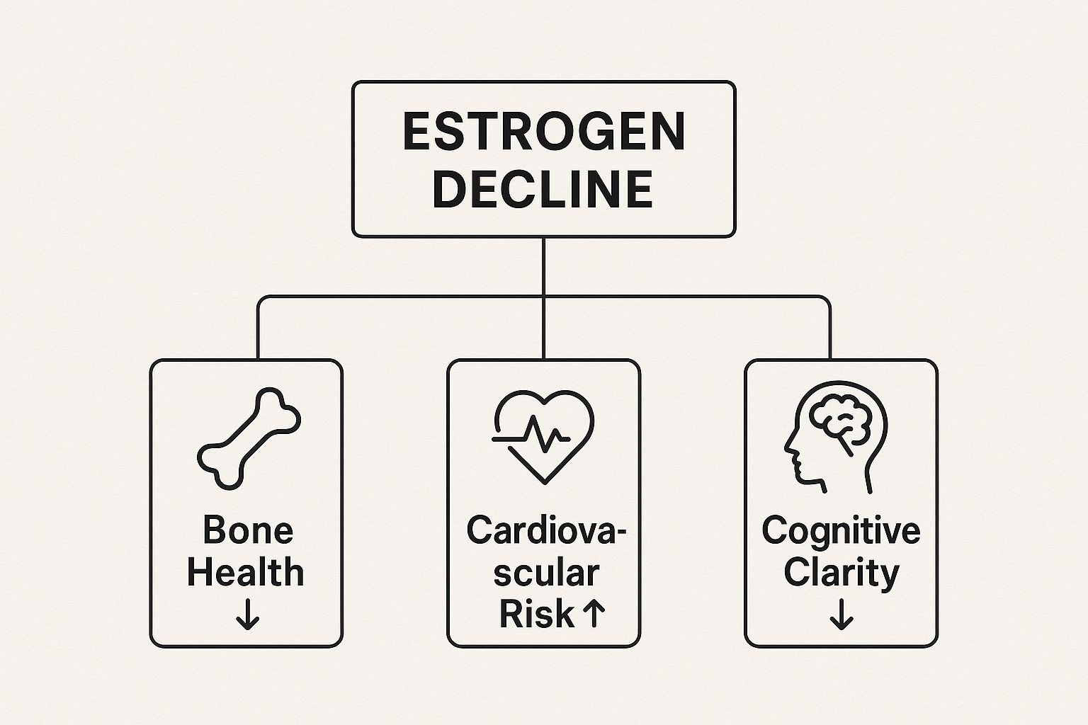 Infographic showing the effects of estrogen decline on bone health, cardiovascular risk, and cognitive clarity.