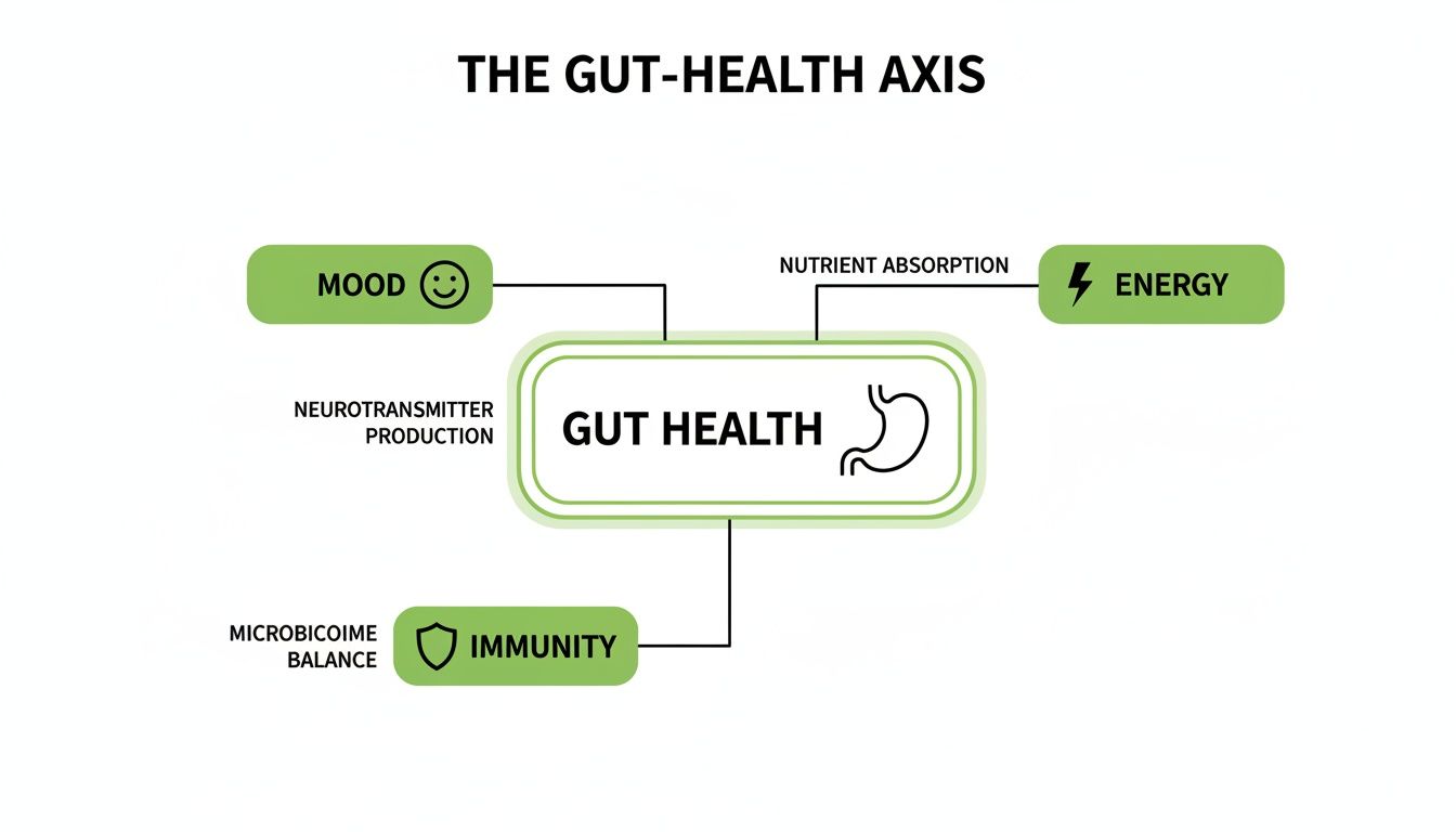 Diagram illustrating the gut-health axis, showing its connection to mood, energy, and immunity.