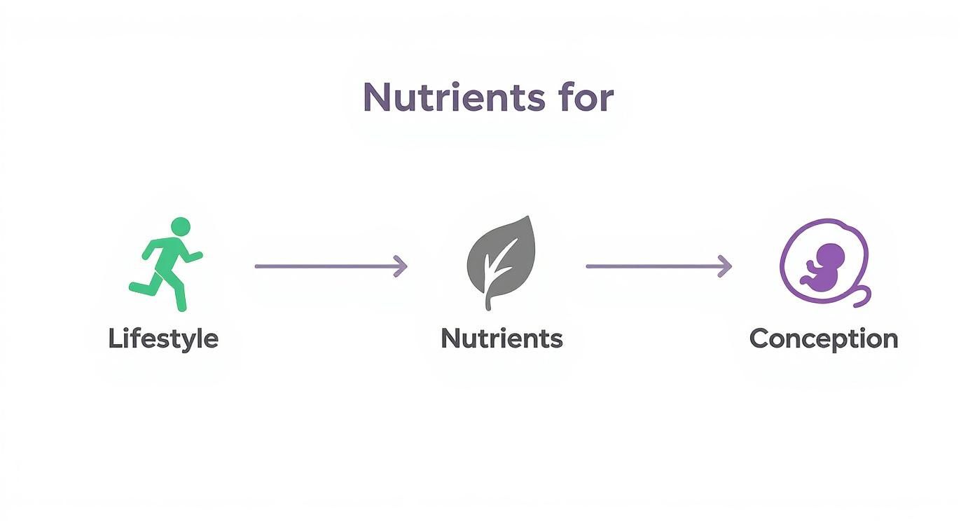 Infographic about women's fertility supplements