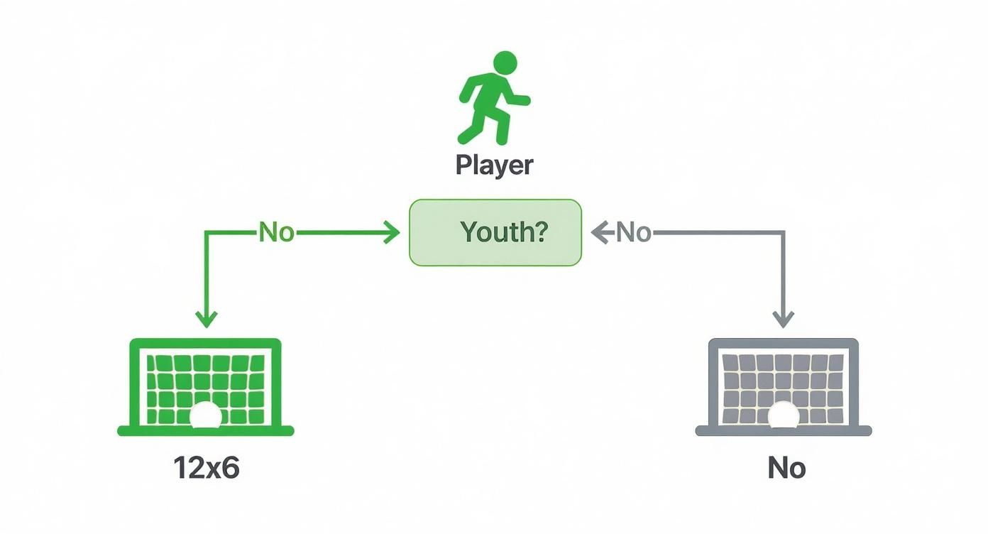 Flowchart depicting player's youth status leading to a 12x6 or no football goal.