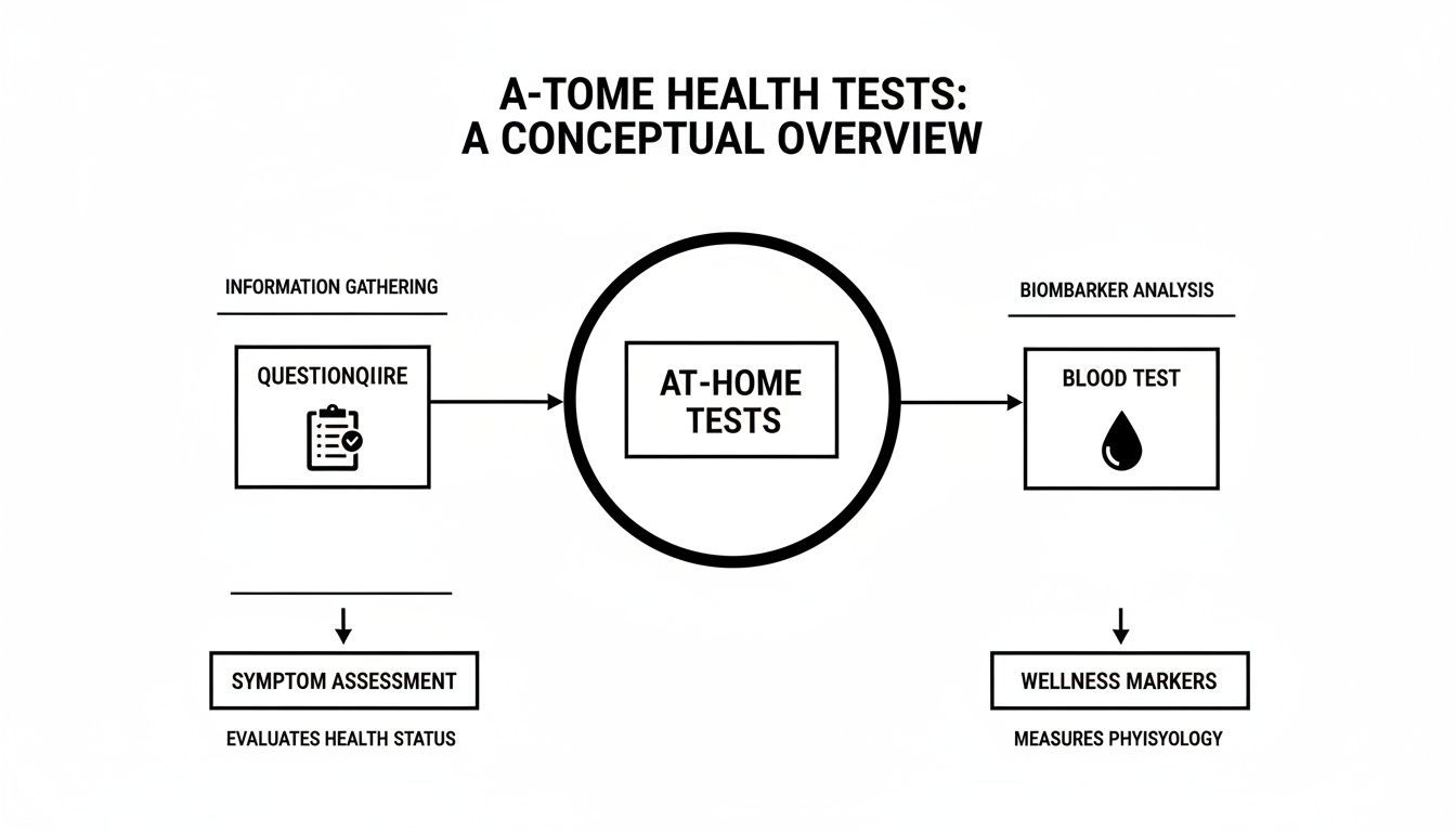 Conceptual overview of A-Tome at-home health tests, detailing information gathering and biomarker analysis.