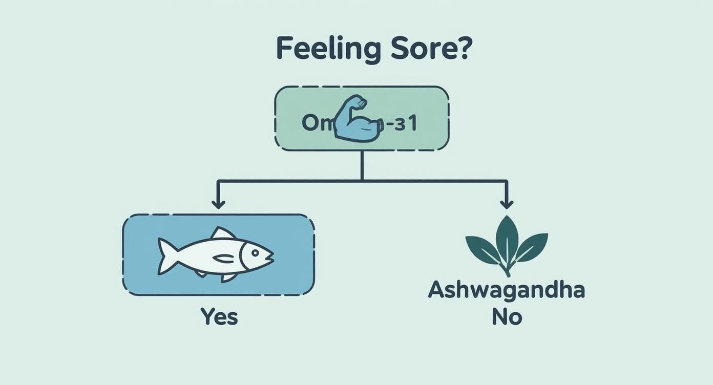 Infographic decision tree showing how to choose between Omega-3s and Ashwagandha for muscle recovery based on soreness.
