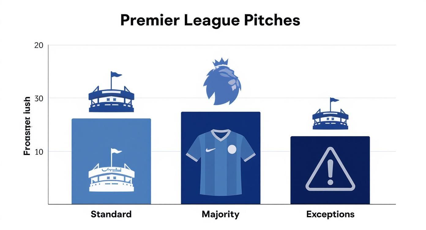 Infographic about soccer pitch dimension