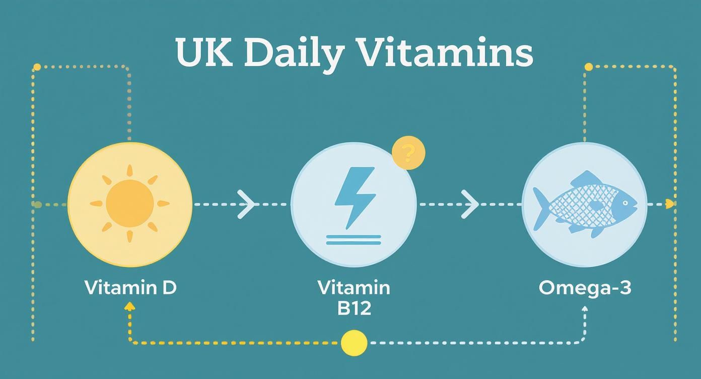 Infographic about what vitamins should i take daily