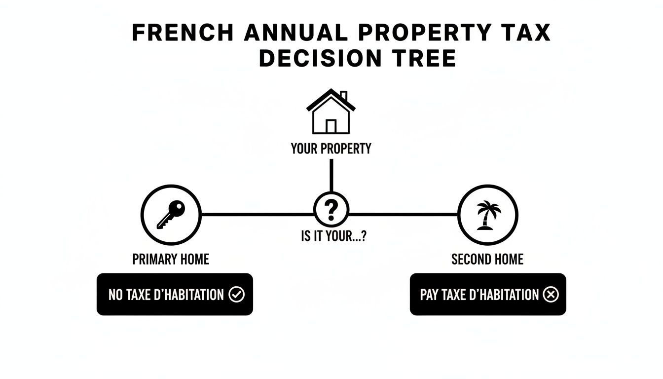 French annual property tax decision tree: primary homes have no taxe d'habitation, second homes pay it.