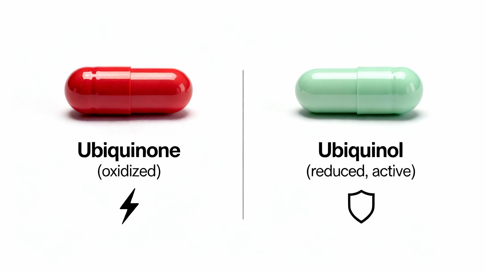 Two capsules, red ubiquinone and green ubiquinol, illustrate oxidized and reduced forms of CoQ10.