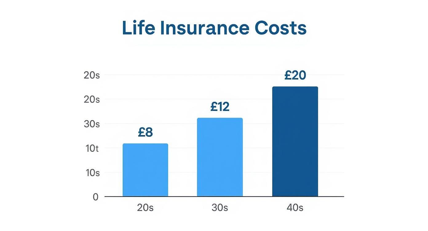 Infographic about term life insurance costs