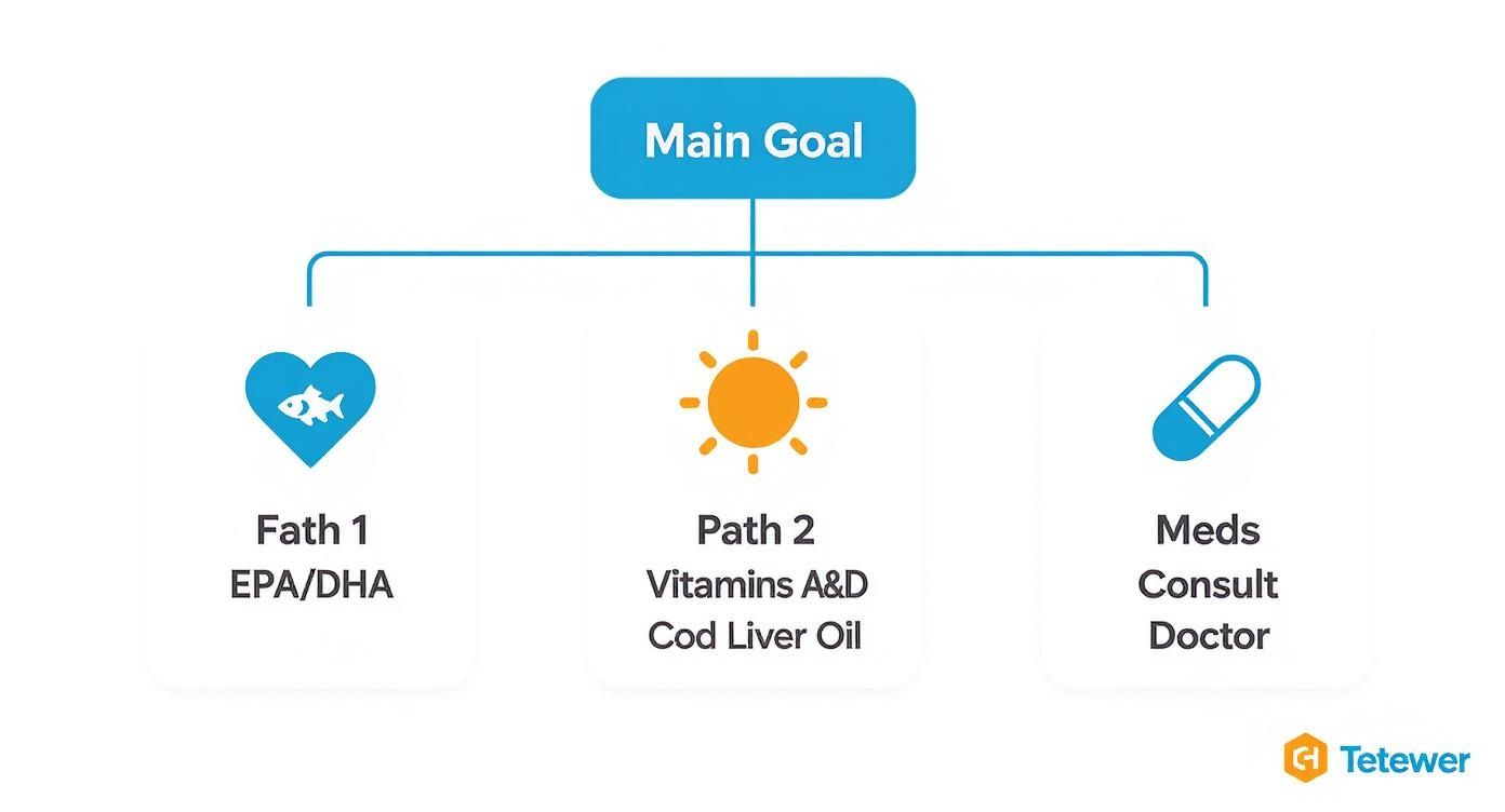A mind map showing a main goal and three health approaches: EPA/DHA, Vitamins A&D, and doctor consultation.