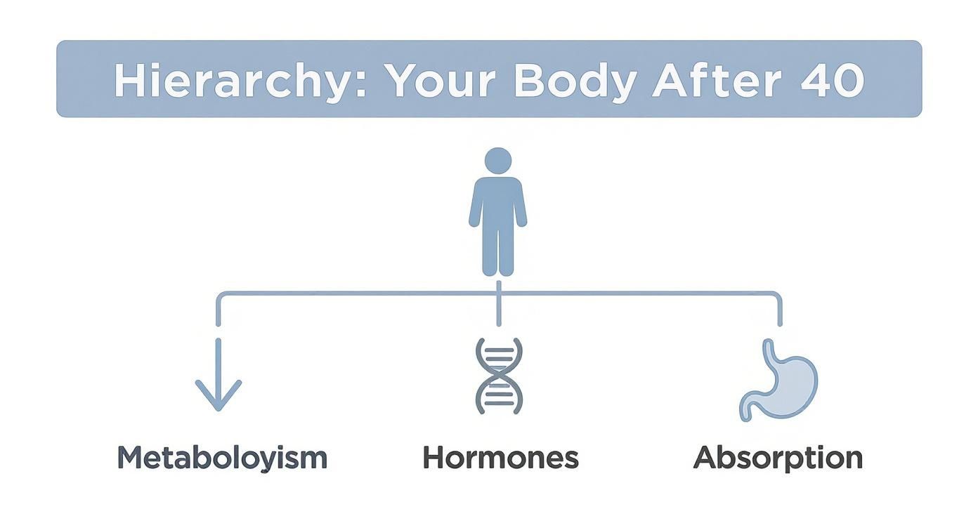 Infographic about supplements for men over 40