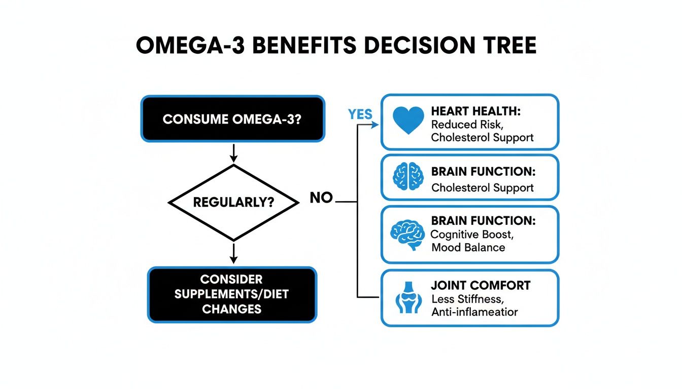 Omega-3 benefits decision tree flowchart showing health outcomes from regular consumption.