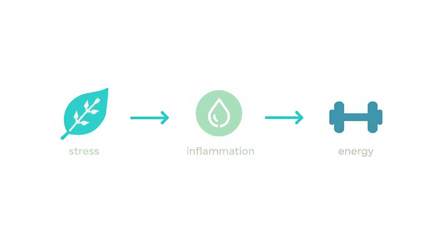 Infographic about balance hormones with supplements