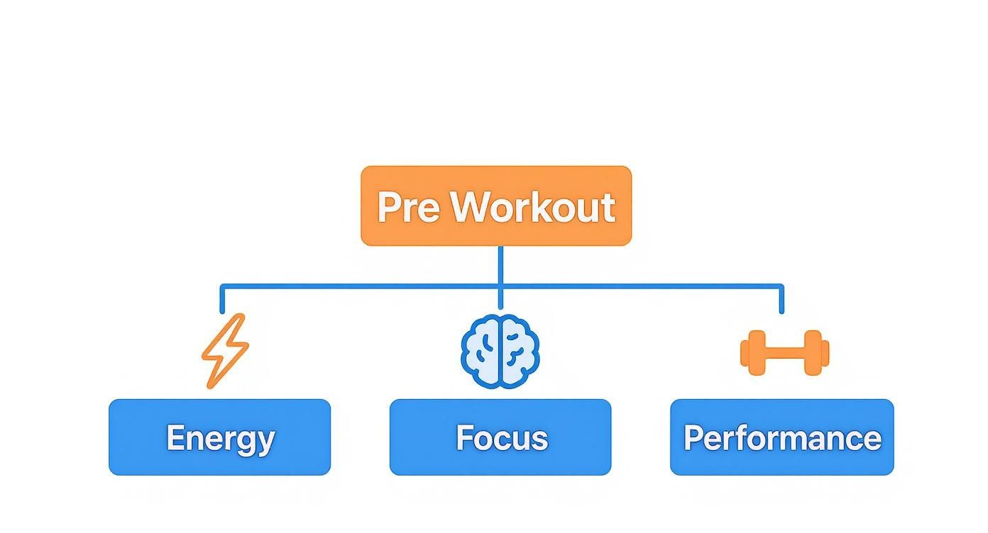 Pre workout benefits diagram showing energy, focus, and performance improvements with icons