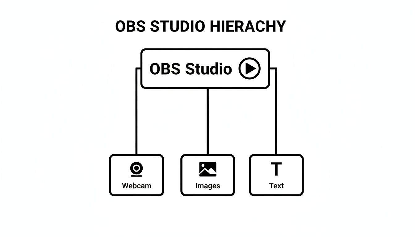 Hierarchy diagram illustrating OBS Studio's components: Webcam, Images, and Text, with a play icon.