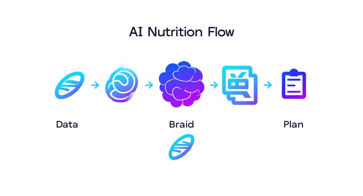 Infographic about personalized nutrition plan