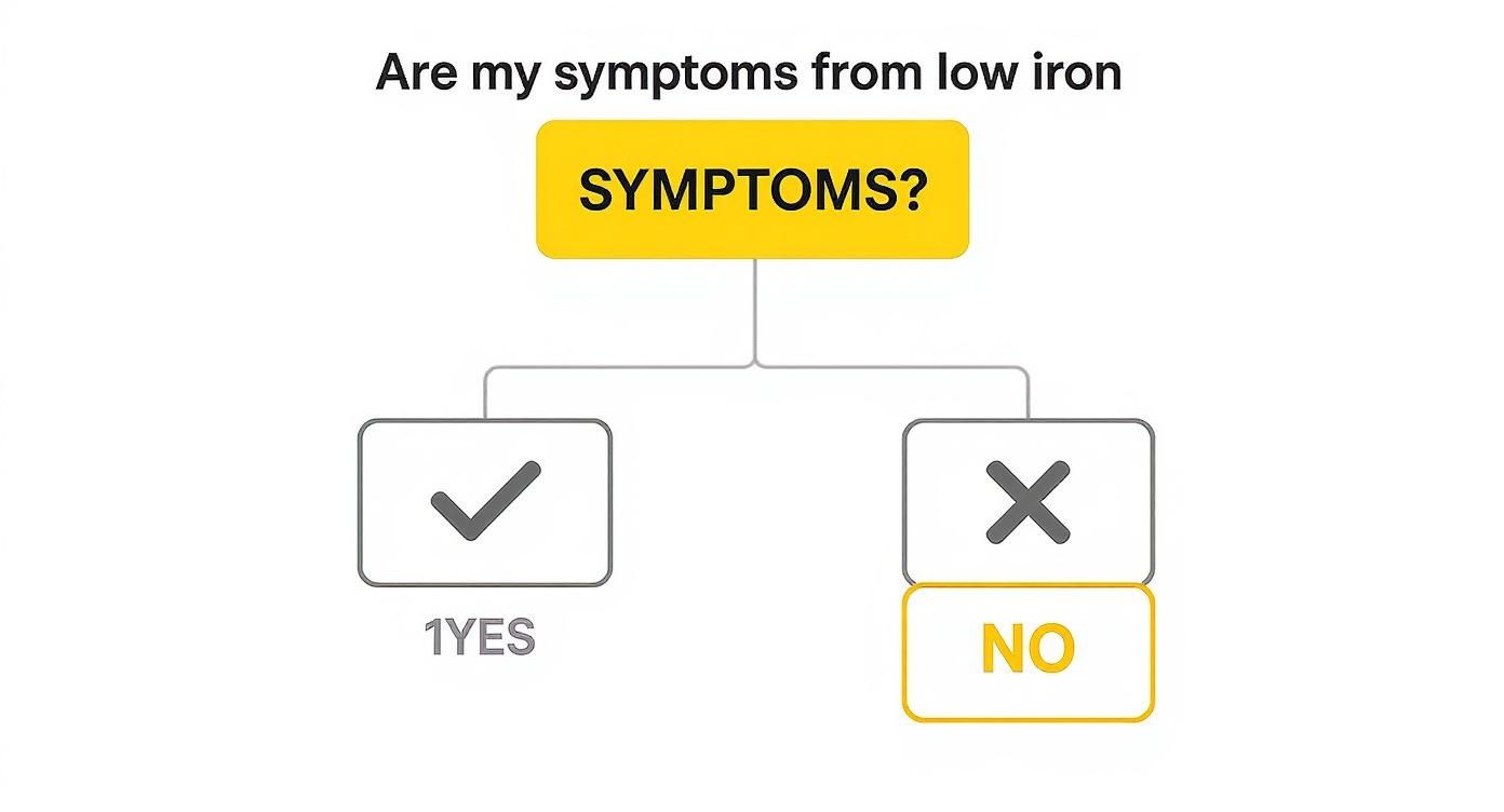 A flowchart asking 'Are my symptoms from low iron?' with branches for 'SYMPTOMS?' to 'YES' or 'NO'.