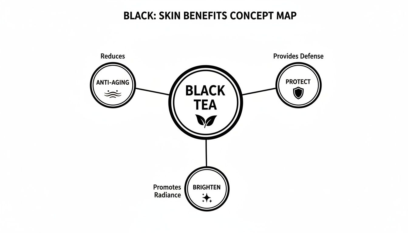 Concept map illustrating black tea's skin benefits, including anti-aging, protection, and brightening.