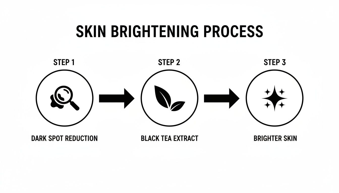 A three-step diagram illustrates skin brightening: dark spot reduction, black tea extract, brighter skin.