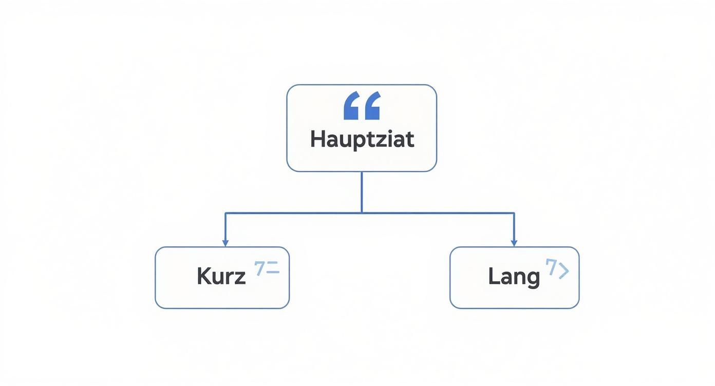 Diagramm zeigt die Unterteilung eines Hauptzitats in kurze und lange Zitate, visualisiert durch zwei Zweige.