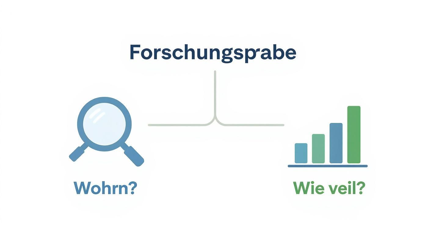 Diagramm, das Forschung in qualitative (Lupe, "Wohrn?") und quantitative (Balkendiagramm, "Wie veil?") Methoden unterteilt.