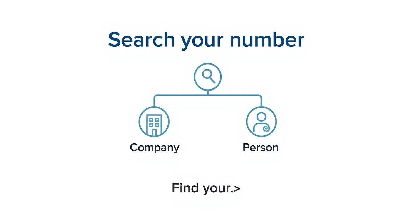 Infographic about telefoonnummer zoeken via naam