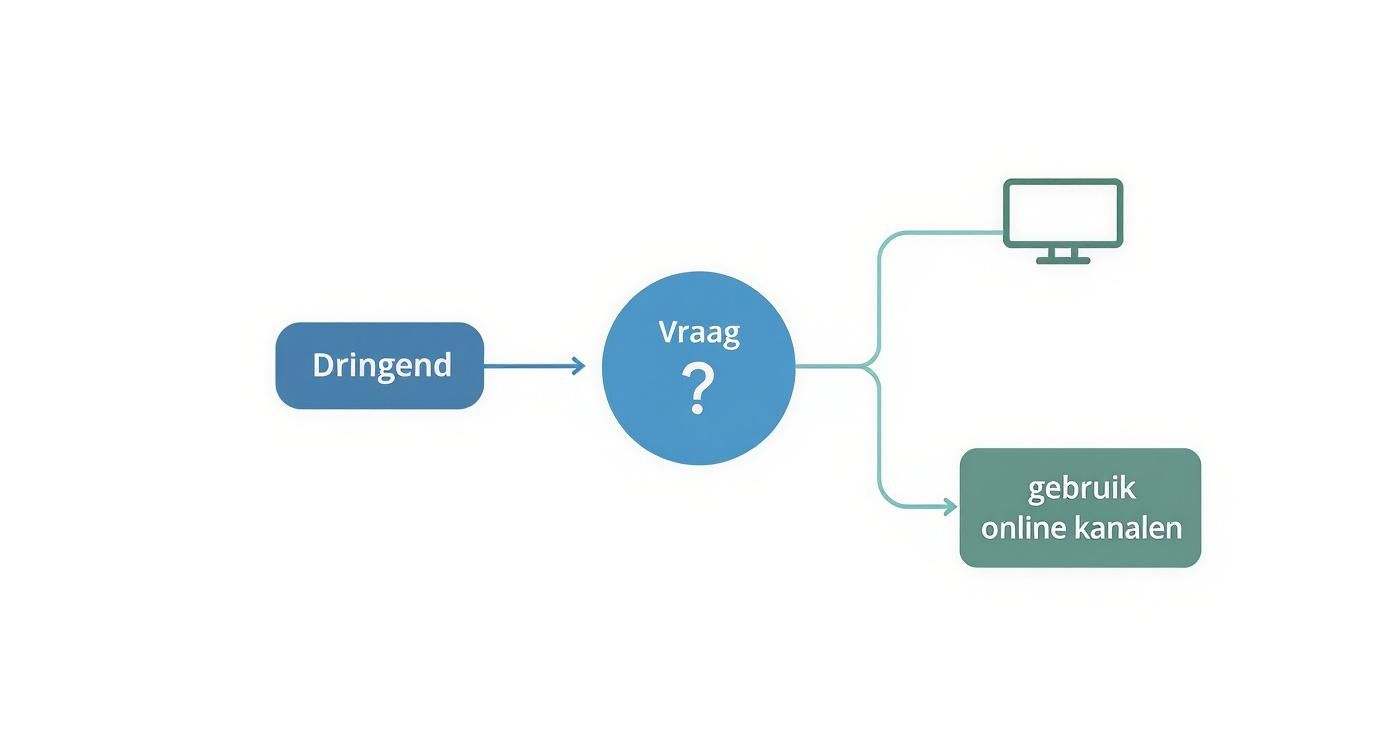 Infographic about contact abn zakelijk