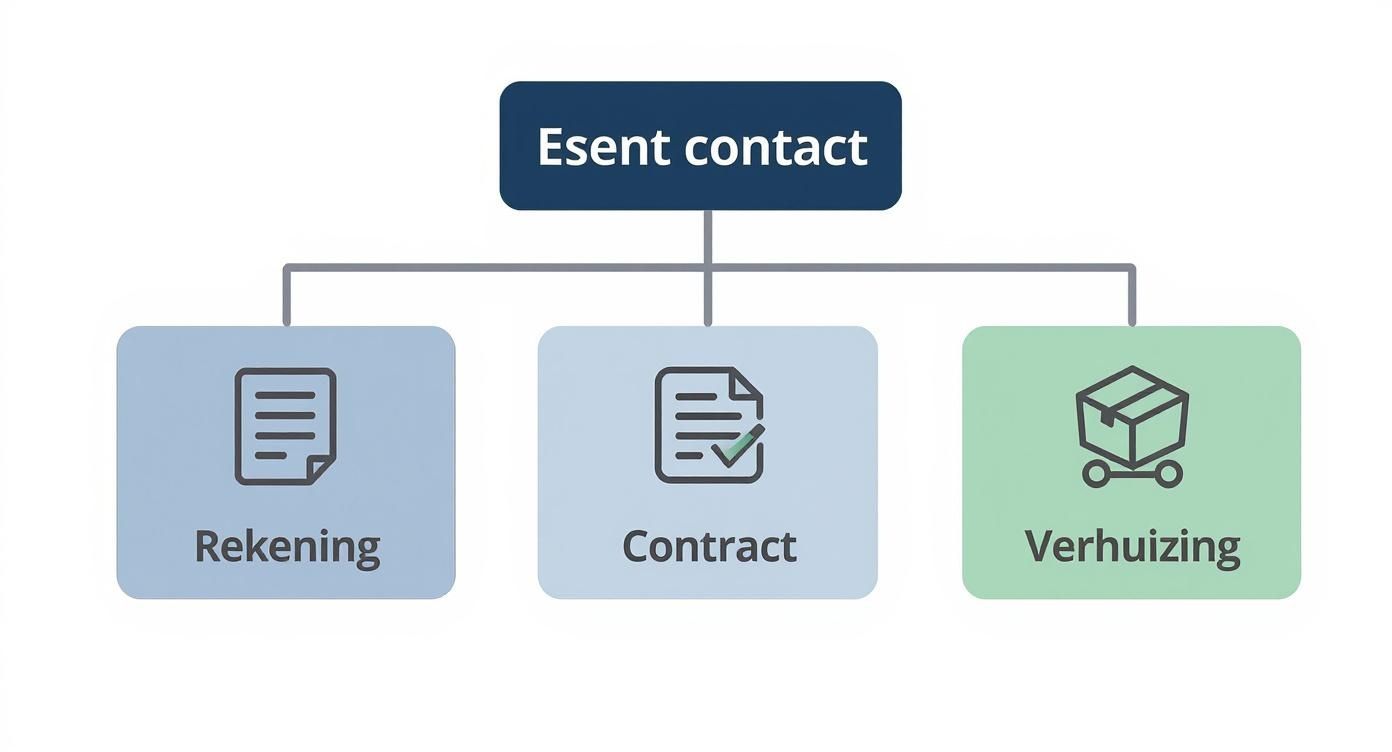 Stroomschema van Esent contact met drie categorieën: Rekening, Contract en Verhuizing met bijbehorende iconen