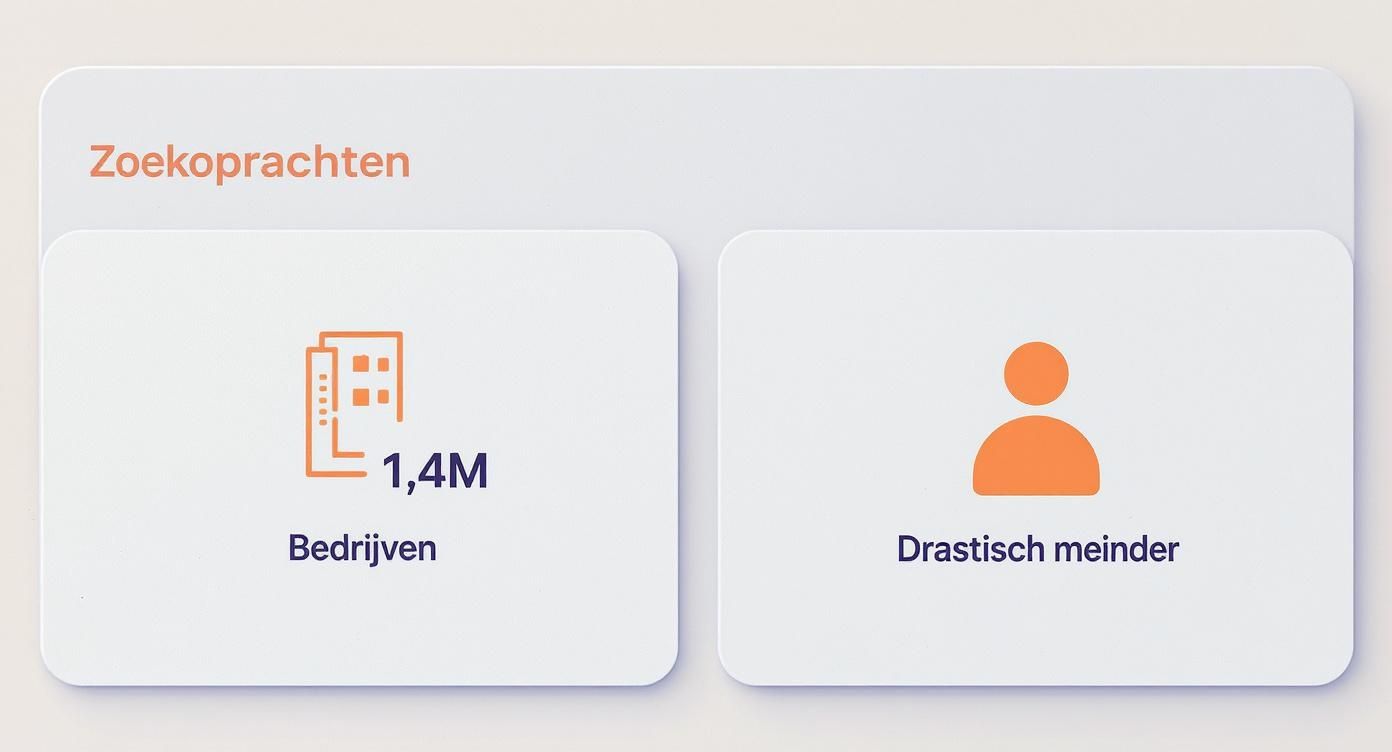 Infographic die het verschil in zoekopdrachten toont tussen bedrijven en particulieren