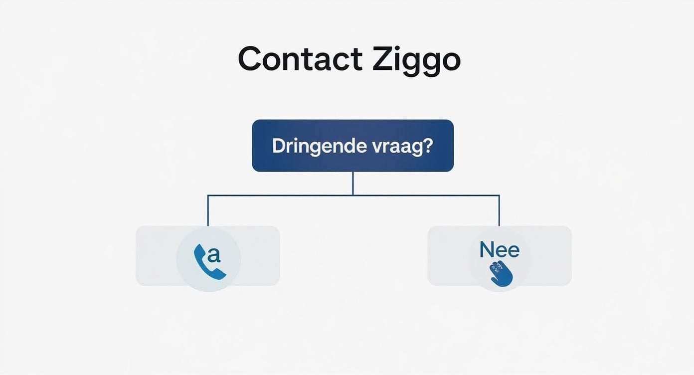 Infographic about contact met ziggo