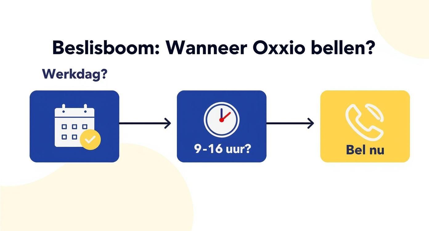 Infographic about telefoonnummer van oxxio