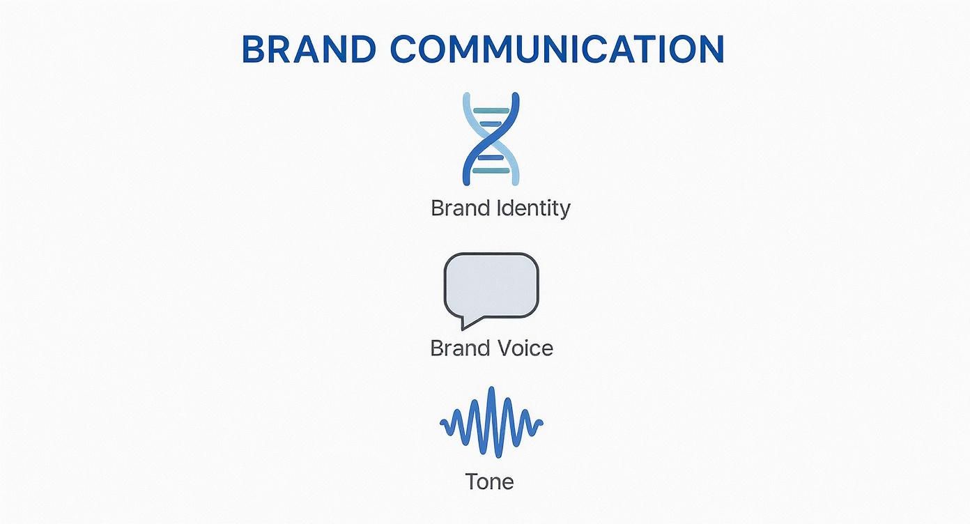 A diagram illustrating brand communication components: Brand Identity, Brand Voice, and Tone with icons.
