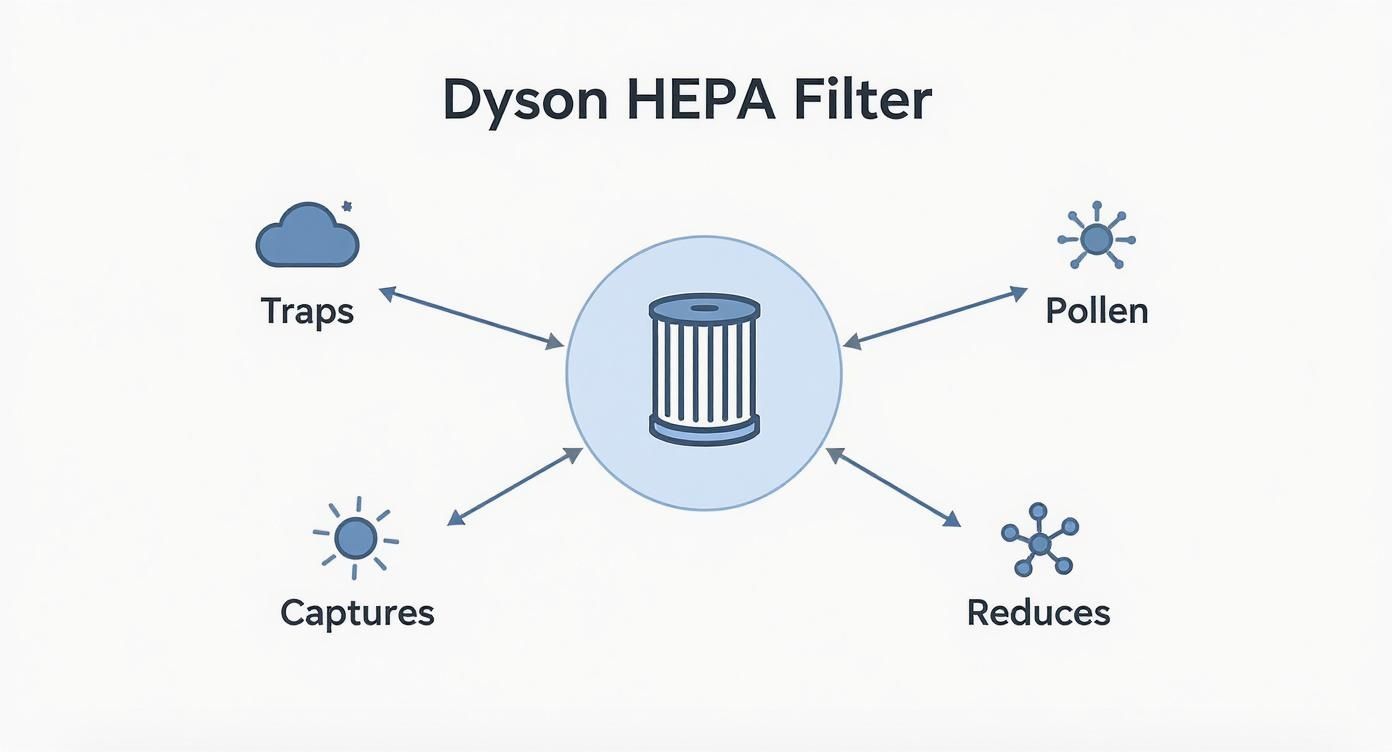 Diagram illustrating a Dyson HEPA filter trapping, capturing, and reducing airborne particles, including pollen.