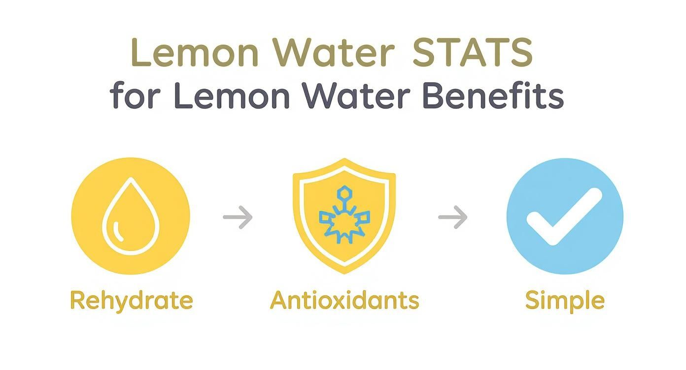 Infographic illustrating three key benefits of lemon water: rehydration, antioxidants, and simplicity.