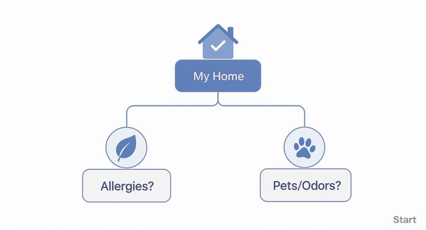 Infographic about purificatore aria con filtro hepa