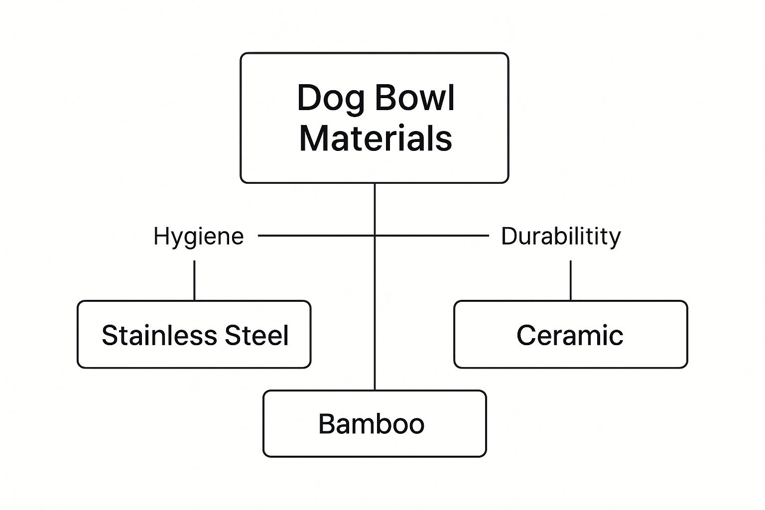 Infographic about ciotole per cani