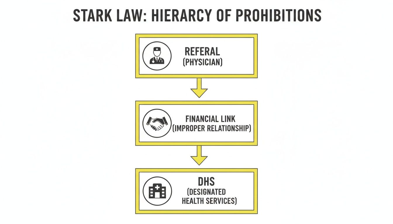 Flowchart illustrating the Stark Law hierarchy of prohibitions for physician referrals, financial links, and designated health services.